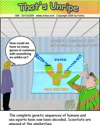 cartoon 9, comparative genomics